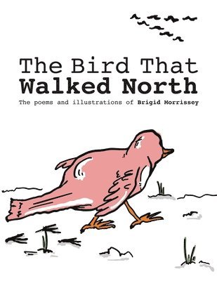 bokomslag Bird That Walked North