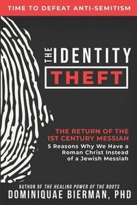 bokomslag The Identity Theft
