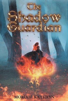 The Shadow Guardian 1