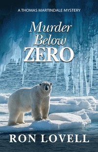 bokomslag Murder Below Zero