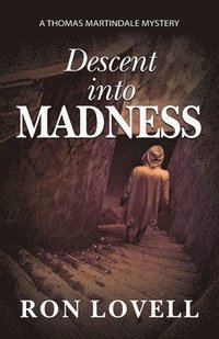 bokomslag Descent into Madness