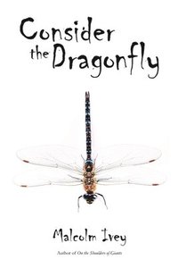 bokomslag Consider the Dragonfly