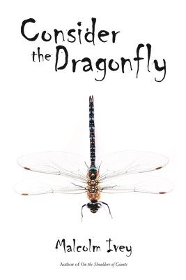 Consider the Dragonfly 1