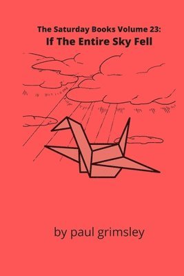 bokomslag If The Entire Sky Fell: The Saturday Books Volume 23