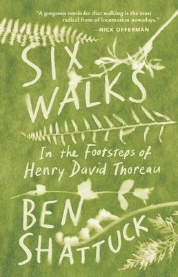 bokomslag Six Walks: In the Footsteps of Henry David Thoreau