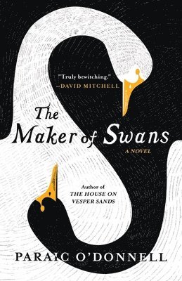The Maker of Swans 1