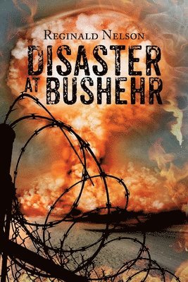 bokomslag Disaster at Bushehr