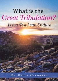 bokomslag What is the Great Tribulation?