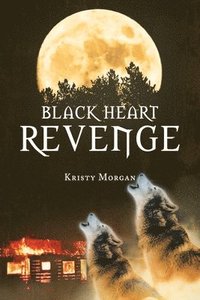 bokomslag Black Heart Revenge