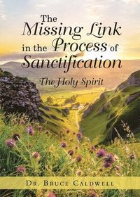 bokomslag Missing Link in the Process of Sanctification