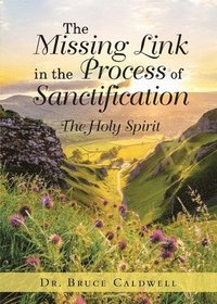 bokomslag The Missing Link in the Process of Sanctification