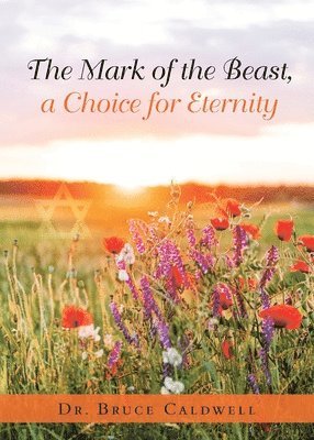 bokomslag The Mark of the Beast, a Choice for Eternity
