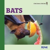 bokomslag Bats