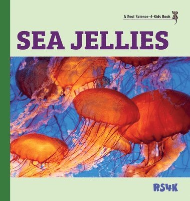 bokomslag Sea Jellies (hardcover)