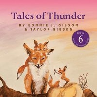 bokomslag Tales of Thunder