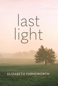 bokomslag Last Light