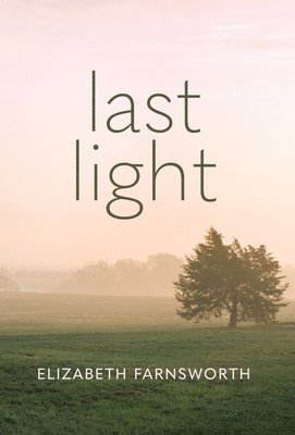 Last Light 1