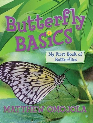 Butterfly Basics 1