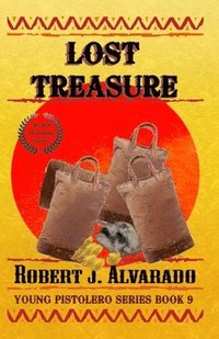 bokomslag Lost Treasure