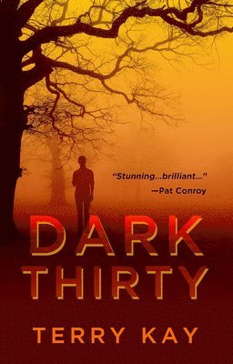 Terry Kay - Dark Thirty, Inbunden