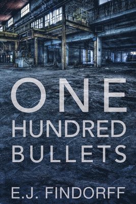 bokomslag One Hundred Bullets