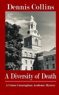 bokomslag Diversity of Death