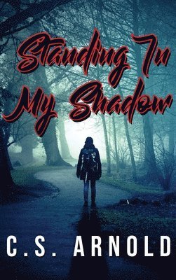 Standing In My Shadow 1