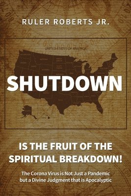 bokomslag Shutdown