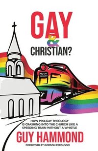 bokomslag Gay & Christian?