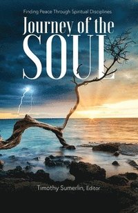 bokomslag The Soul Journey
