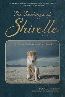 bokomslag The Teachings of Shirelle