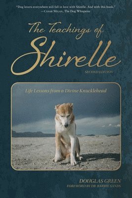Douglas Green - Teachings of Shirelle, Häftad