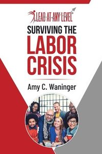 bokomslag Surviving the Labor Crisis