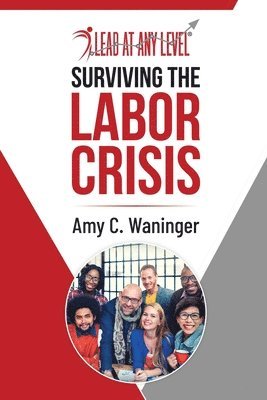 bokomslag Surviving the Labor Crisis