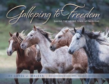 bokomslag Galloping to Freedom