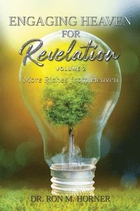 bokomslag Engaging Heaven for Revelation - Volume 2