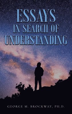 bokomslag Essays in Search of Understanding