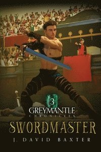 bokomslag Swordmaster