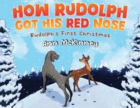 bokomslag How Rudolph Got His Red Nose