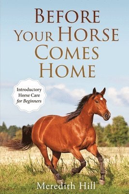 Meredith Hill - Before Your Horse Comes Home, Häftad