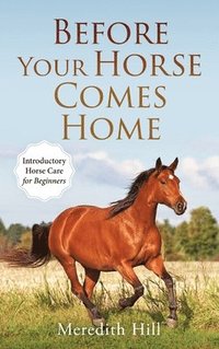 bokomslag Before Your Horse Comes Home