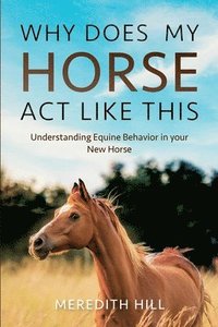 bokomslag Why Does My Horse Act Like This?: Understanding Equine Behavior in your New Horse