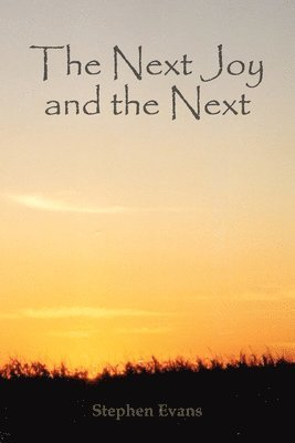Stephen Evans - Next Joy and the Next, Häftad