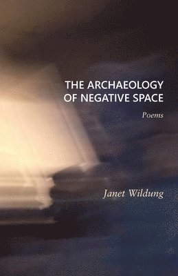 bokomslag The Archaeology of Negative Space