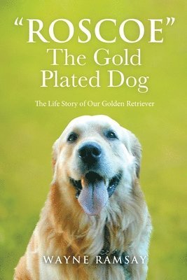 Gold Plated Dog 1