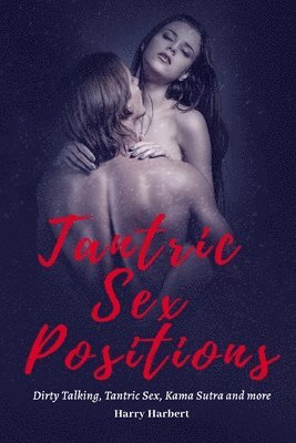 bokomslag Tantric Sex Positions