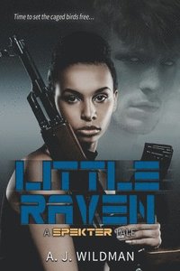 bokomslag Little Raven