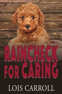 bokomslag Raincheck for Caring