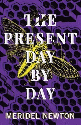 Meridel Newton - Present Day by Day, Häftad