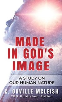 bokomslag Made In God's Image